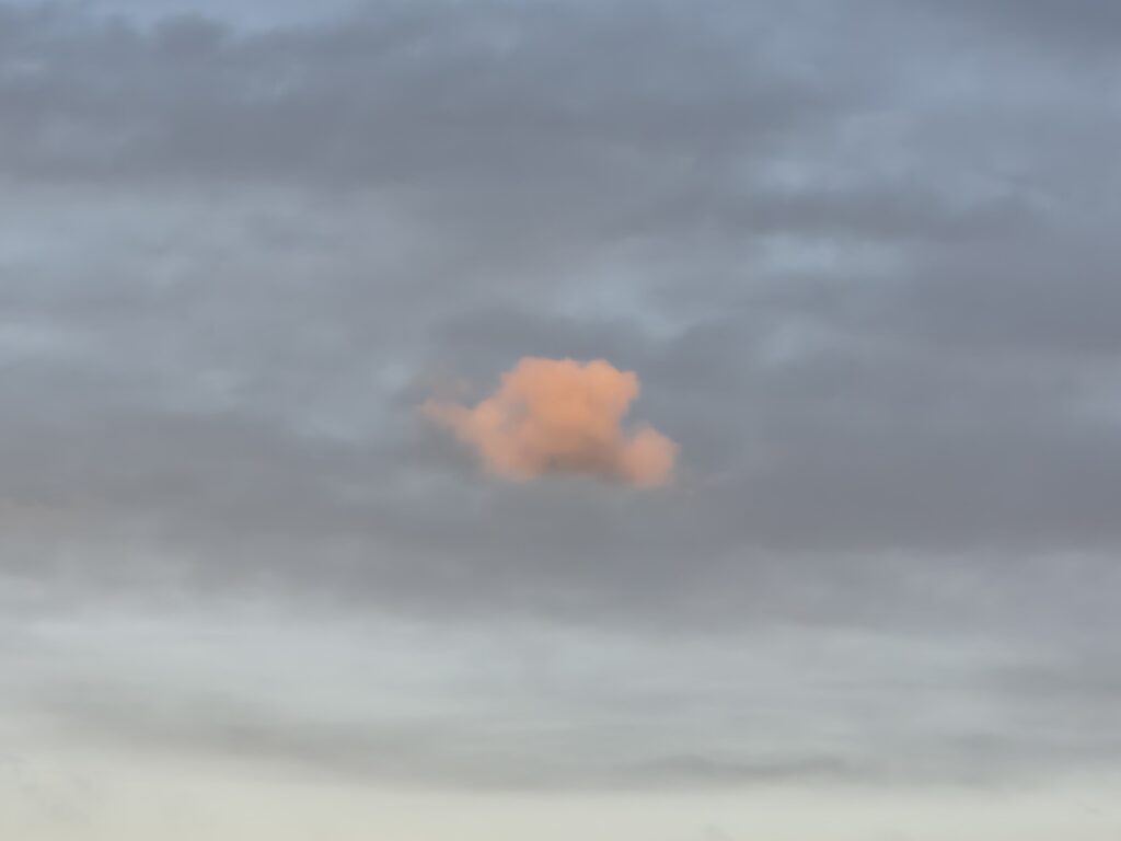 Der Segen der Enttäuschung💫