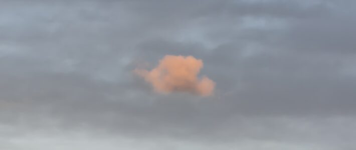 Der Segen der Enttäuschung💫 Der Segen der Enttäuschung💫