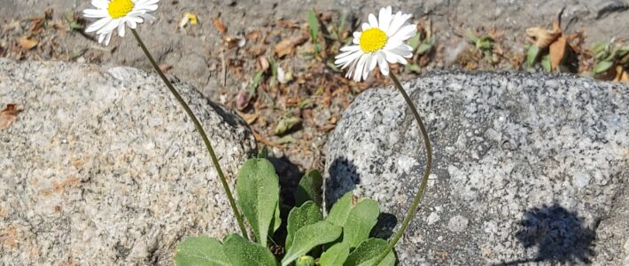 Zeit für Wahrhaftigkeit