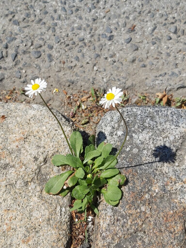 Zeit für Wahrhaftigkeit